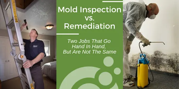 Invasive Exploration for Mold