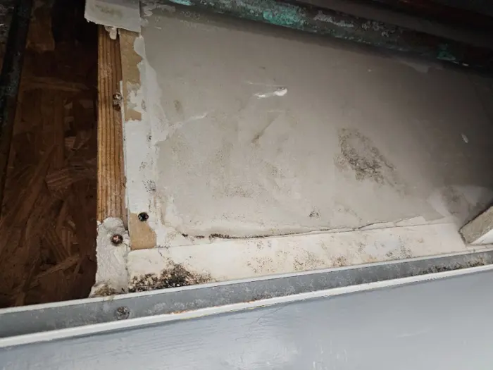 A close-up of a water-damaged ceiling reveals visible mold growth along the edges, suggesting the need for mold sampling or testing. The area displays wood and drywall with noticeable discoloration and surface damage.
