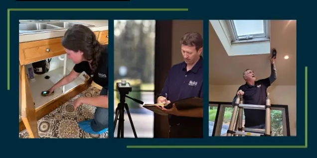 Three images depict an inspection: one shows a person using a flashlight to assess a kitchen sink cabinet, another writing notes near equipment by the sink, and a third person on a ladder investigating with tools near a skylight. The background is dark blue with green accents.