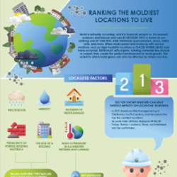 Ranking the Moldiest Places | Mold Inspection Sciences